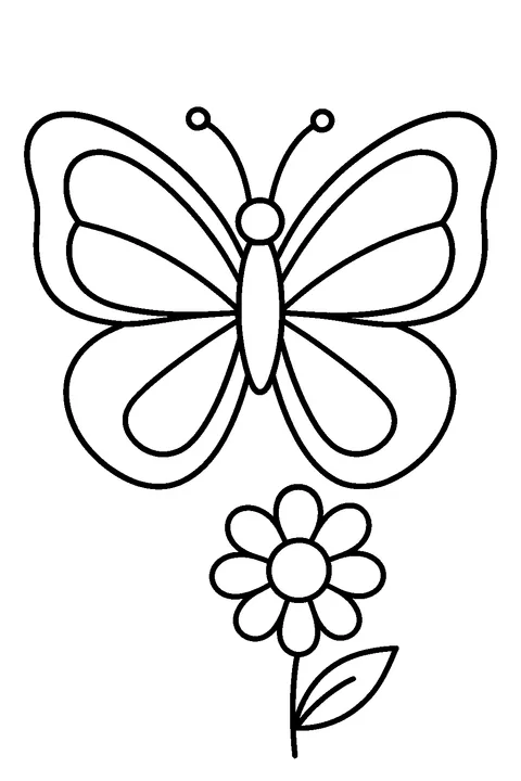 Piękny motyl — Drukuj PDF